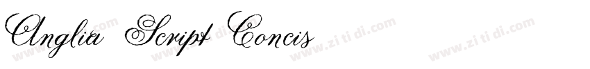 Anglia Script Concis字体转换